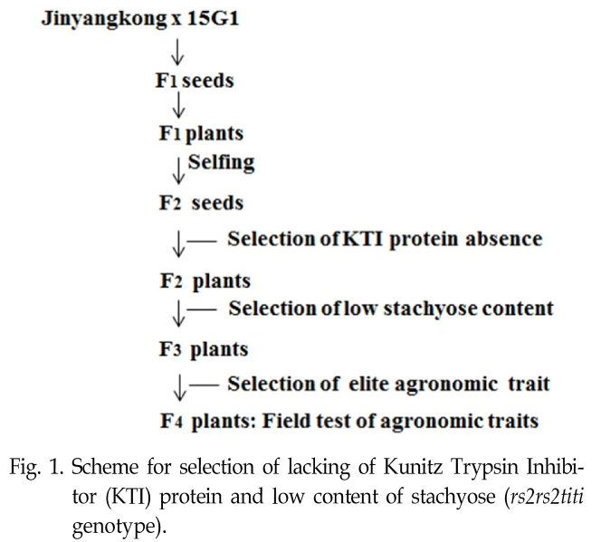 SMGHBM_2018_v28n11_1285_f0001.png 이미지