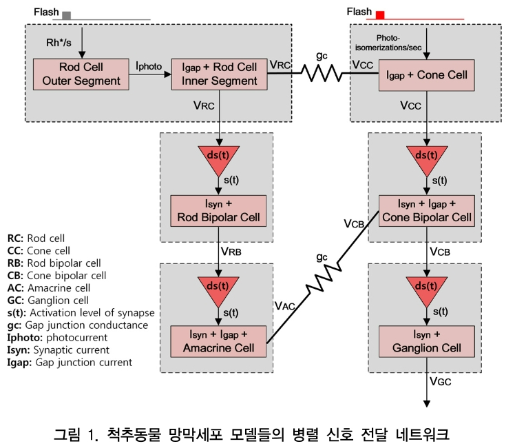 CCTHCV_2018_v18n11_655_f0001.png 이미지