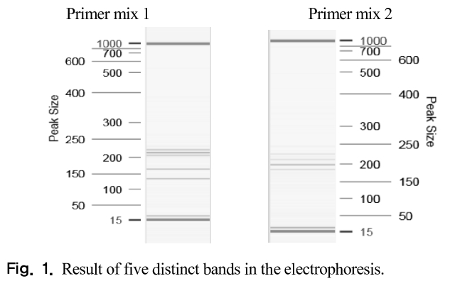 GCOSBX_2018_v41n4_257_f0002.png 이미지