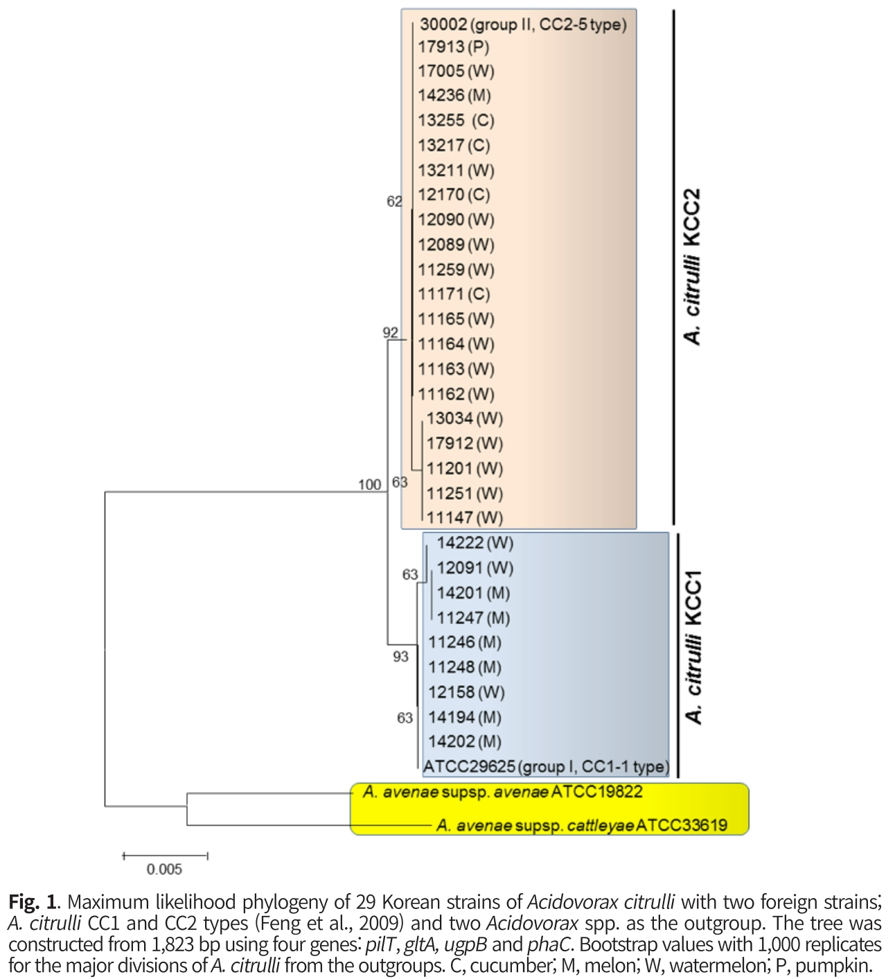 CNNSA3_2018_v45n4_575_f0001.png 이미지