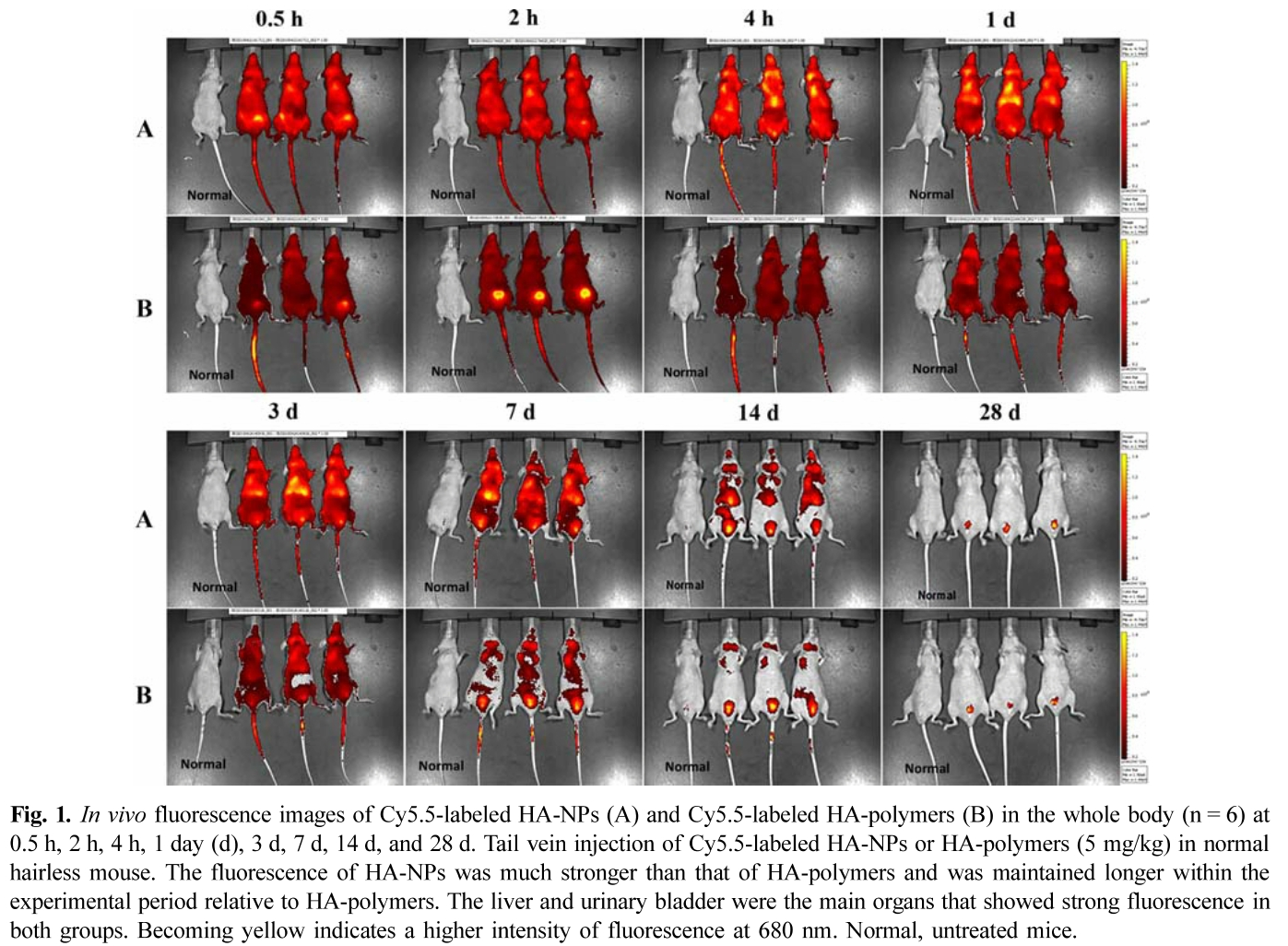 TSSOBU_2018_v58n4_183_f0001.png 이미지