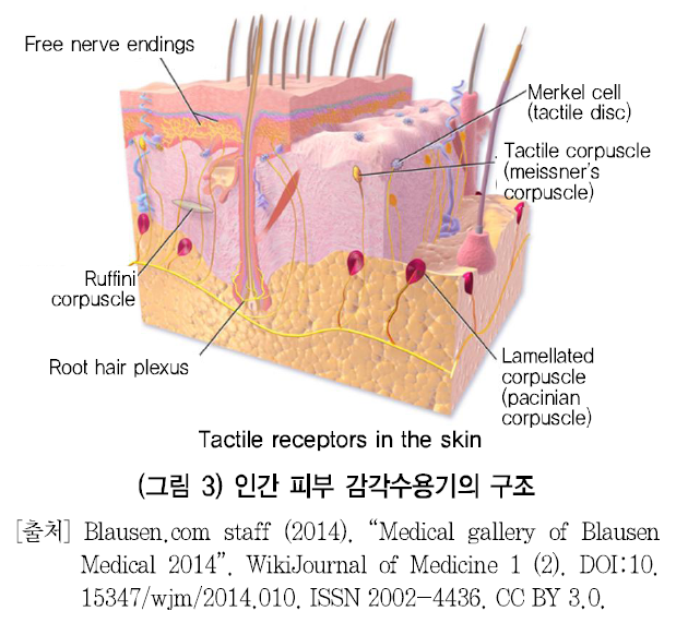 HJTOCM_2018_v33n6_69_f0003.png 이미지