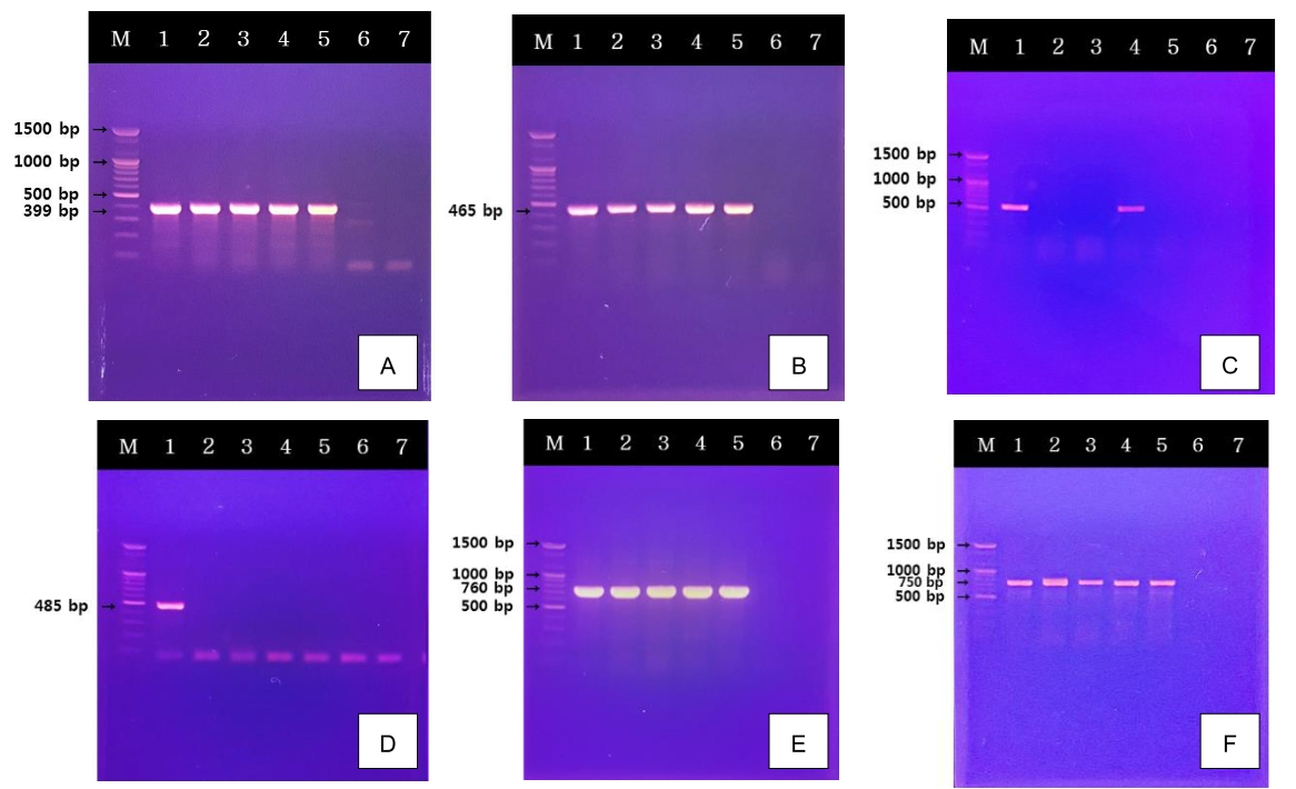 KSSHBC_2019_v52n6_596_f0002.png 이미지