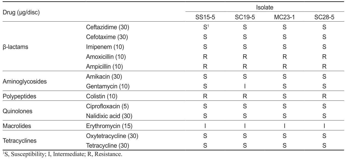 KSSHBC_2019_v52n6_596_t0006.png 이미지