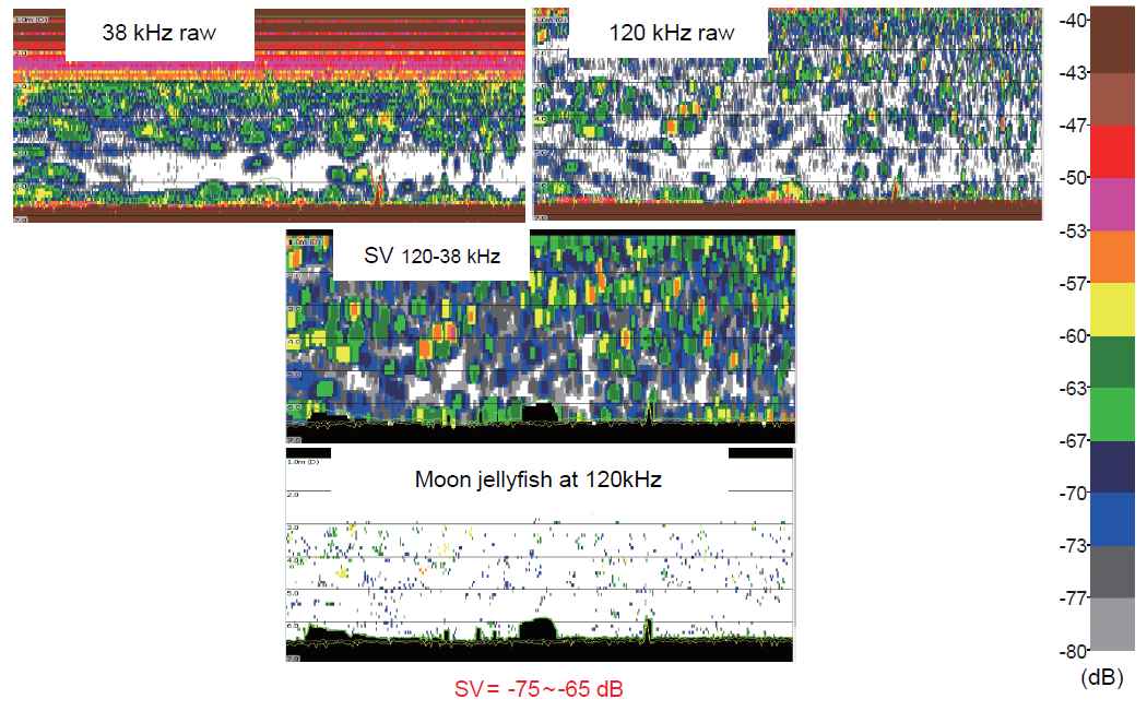 KSSHBC_2019_v52n6_725_f0005.png 이미지