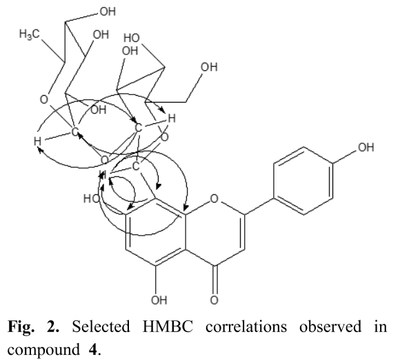 HMJGBP_2019_v47n1_1_f0002.png 이미지