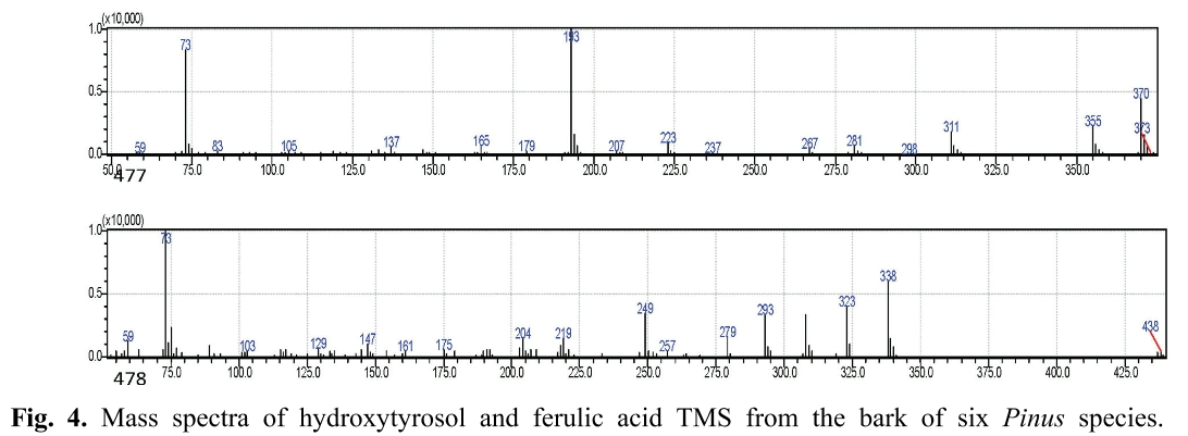 HMJGBP_2019_v47n1_80_f0004.png 이미지