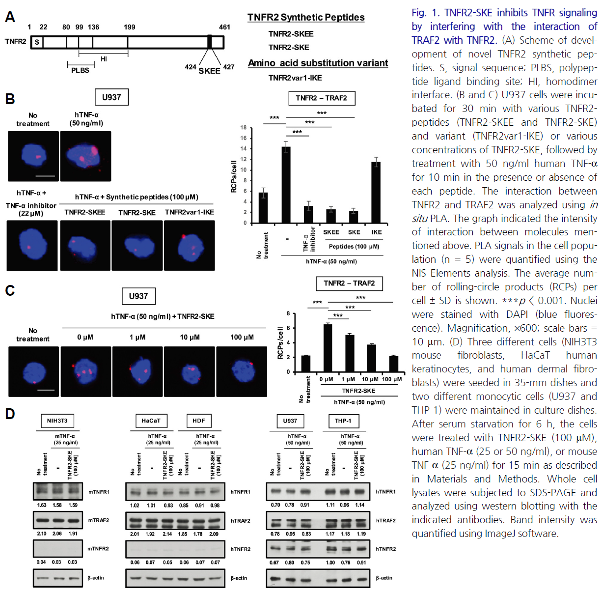 E1BJB7_2019_v42n2_151_f0002.png 이미지