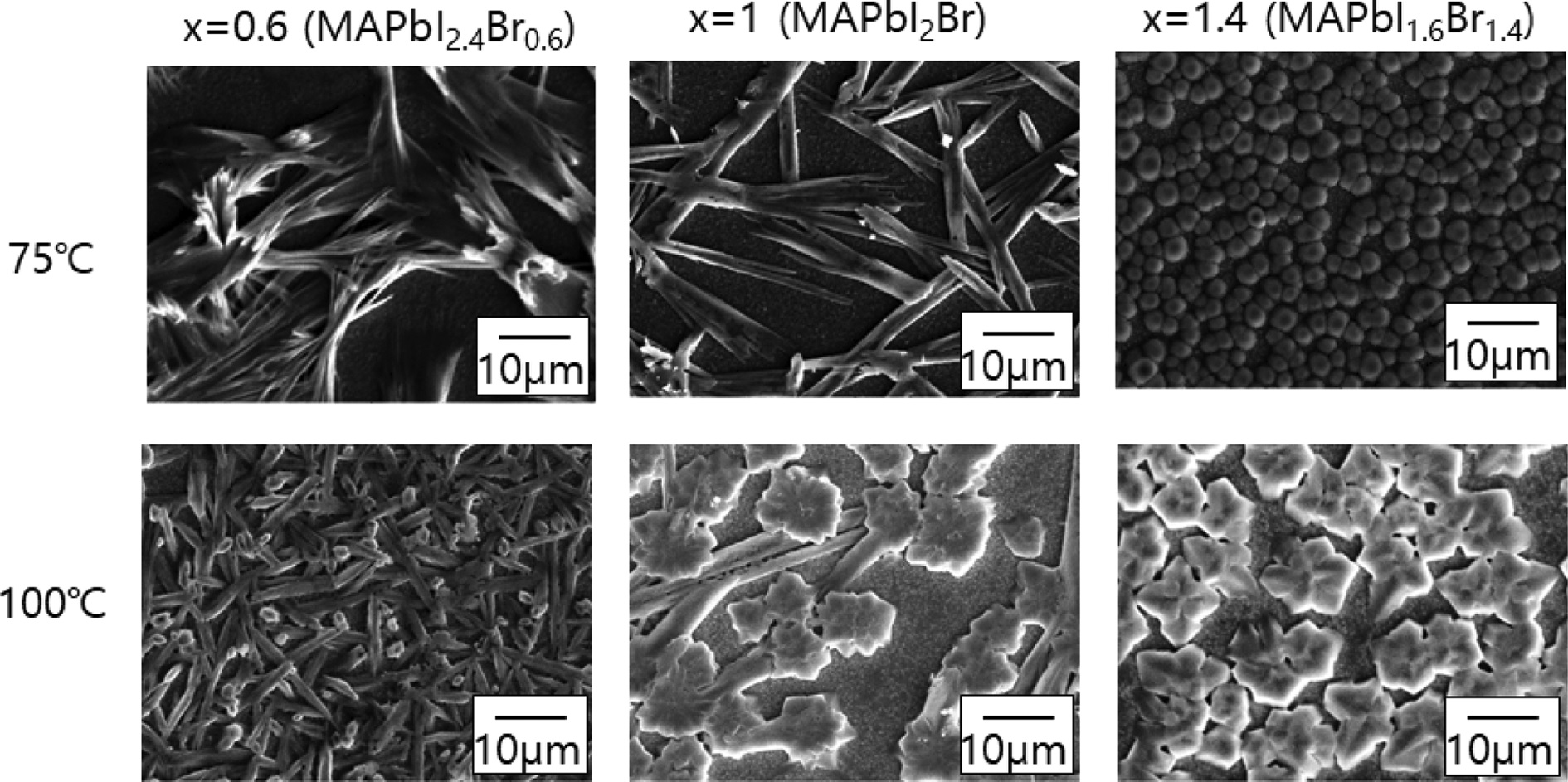 Fig.10.jpg 이미지