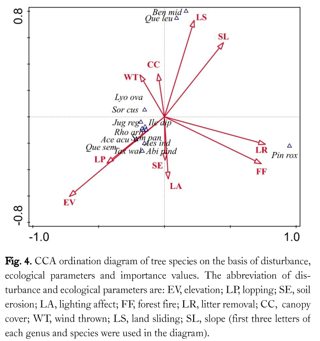 SRGHBV_2019_v35n1_6_f0004.png 이미지