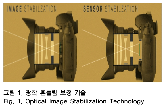 OTNBBE_2019_v19n1_145_f0001.png 이미지