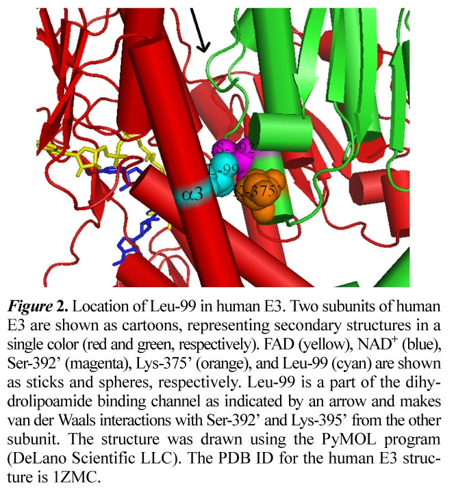 JCGMDC_2019_v63n2_134_f0002.png 이미지