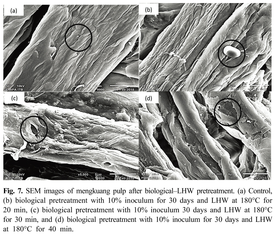 HMJGBP_2019_v47n2_145_f0007.png 이미지