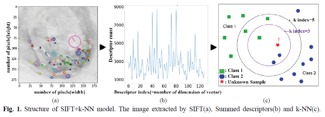 HMJGBP_2019_v47n2_229_f0001.png 이미지