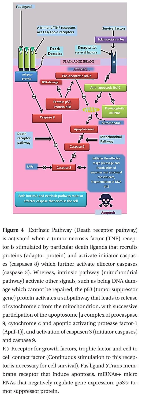 DHOCBS_2019_v22n2_55_f0003.png 이미지