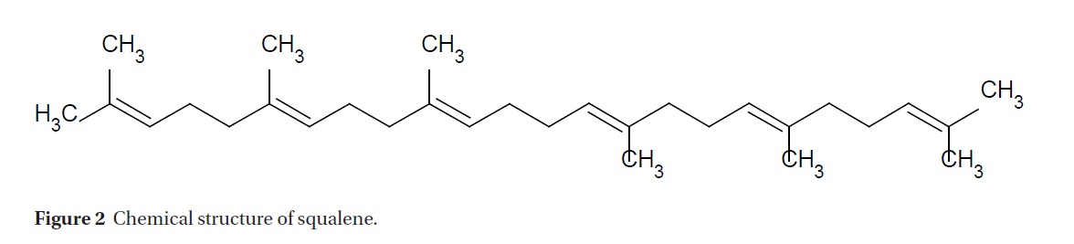 DHOCBS_2019_v22n2_55_t0003.png 이미지