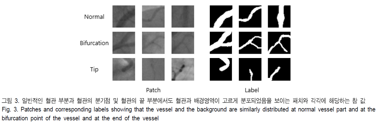 BSGHC3_2019_v24n4_592_f0003.png 이미지