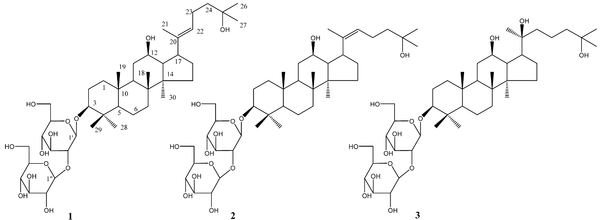 HKSOBF_2020_v51n4_255_f0001.png 이미지