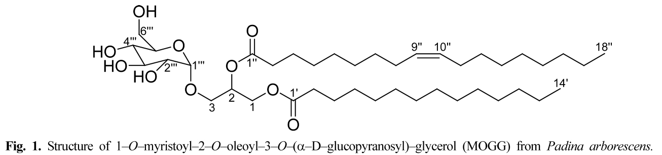 HKSOBF_2020_v51n1_41_f0001.png 이미지