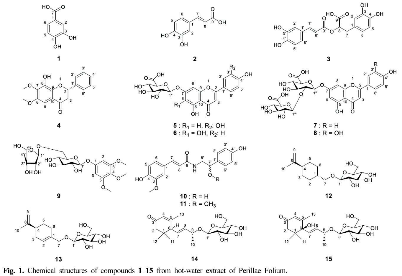 HKSOBF_2020_v51n1_55_f0001.png 이미지