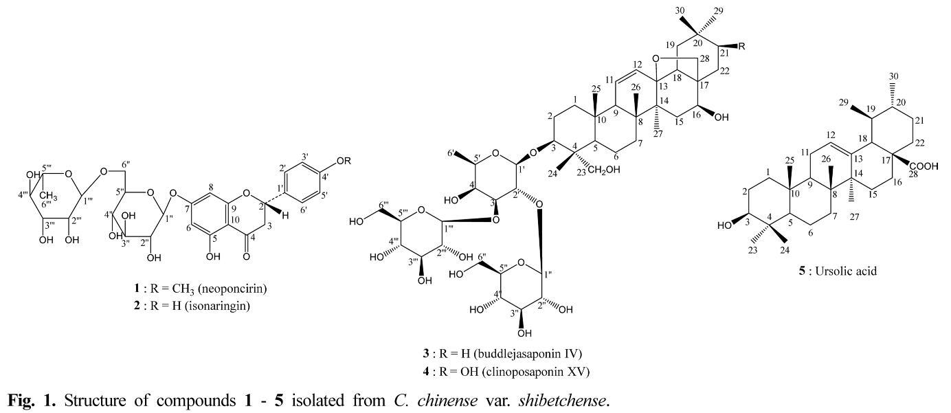 HKSOBF_2020_v51n2_93_f0001.png 이미지