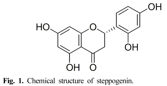 HKSOBF_2020_v51n2_100_f0002.png 이미지