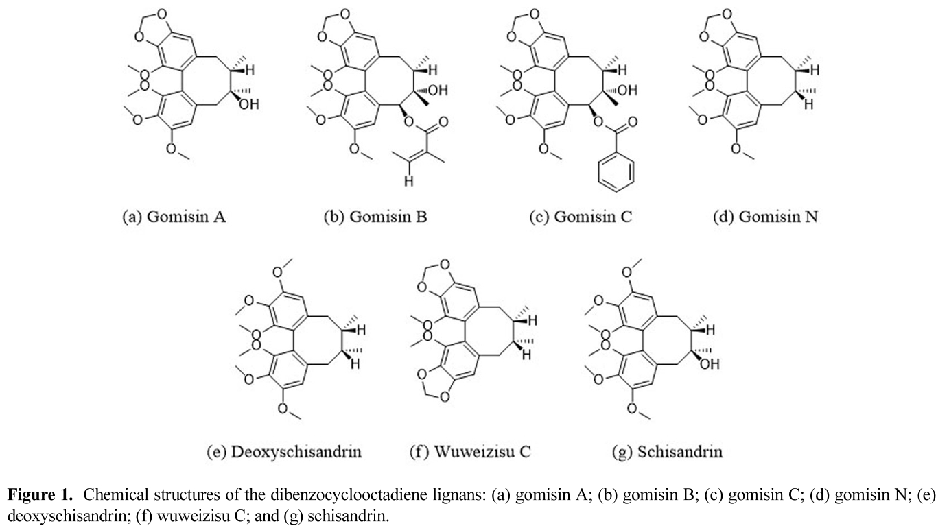 E1MPSV_2020_v11n2_30_f0001.png 이미지