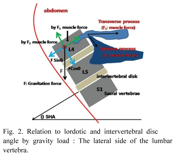 BSSHB5_2020_v14n3_235_f0002.png 이미지