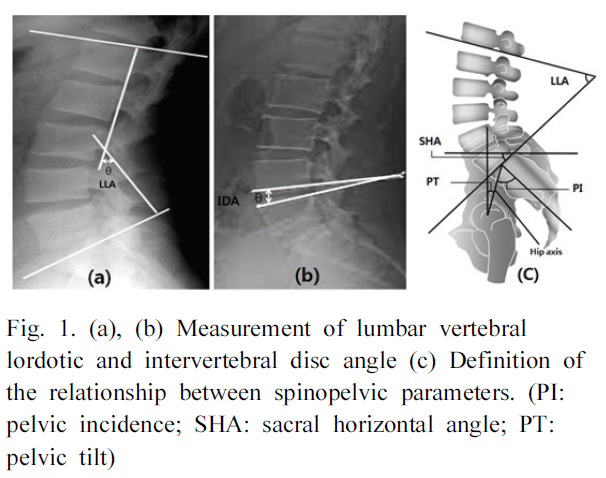 BSSHB5_2020_v14n3_235_f0003.png 이미지