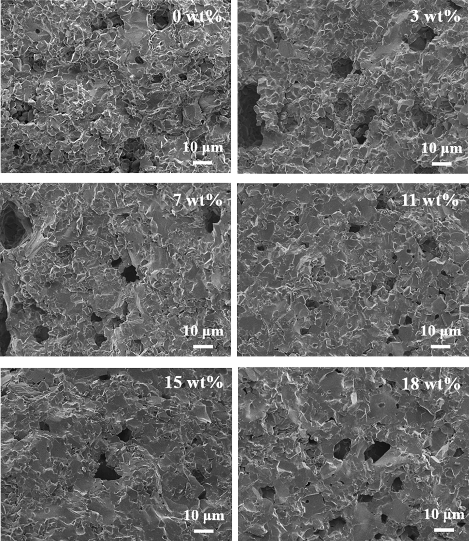 Fig.2.jpg 이미지