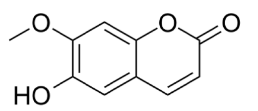 HKSOBF_2020_v51n3_151_f0001.png 이미지