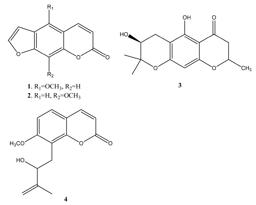 HKSOBF_2020_v51n3_158_f0001.png 이미지