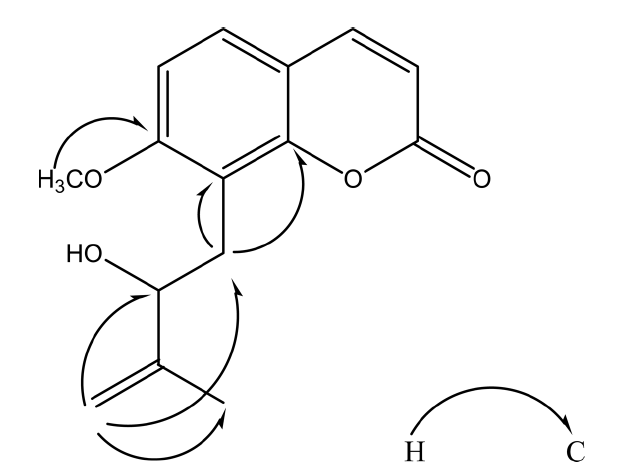 HKSOBF_2020_v51n3_158_f0002.png 이미지