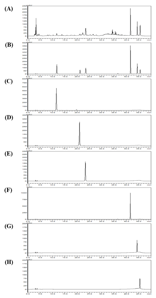 HKSOBF_2020_v51n3_222_f0002.png 이미지