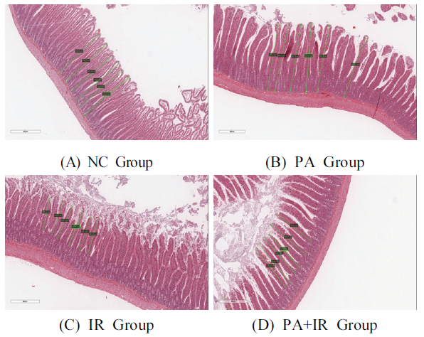 BSSHB5_2020_v14n5_553_f0005.png 이미지