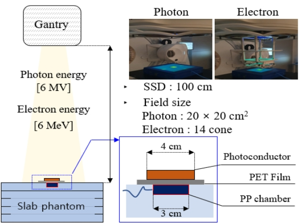 BSSHB5_2020_v14n6_841_f0001.png 이미지