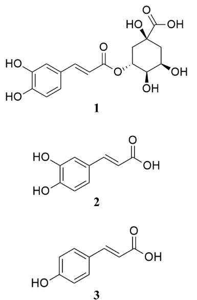 HKSOBF_2021_v52n4_257_f0001.png 이미지