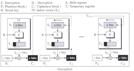 JBBHCB_2021_v31n6_1237_f0003.png 이미지