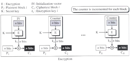 JBBHCB_2021_v31n6_1237_f0004.png 이미지