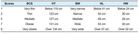 table1.PNG 이미지