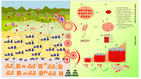 fig1.PNG 이미지