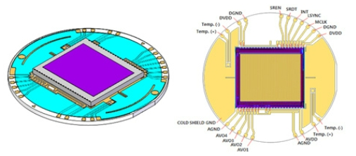 OTNBBE_2021_v21n5_161_f0004.png 이미지